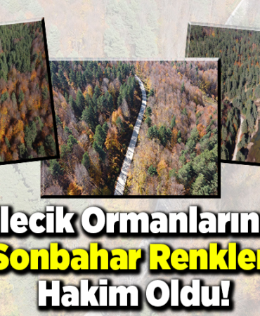 Bilecik ormanlarında sonbahar renkleri hakim oldu