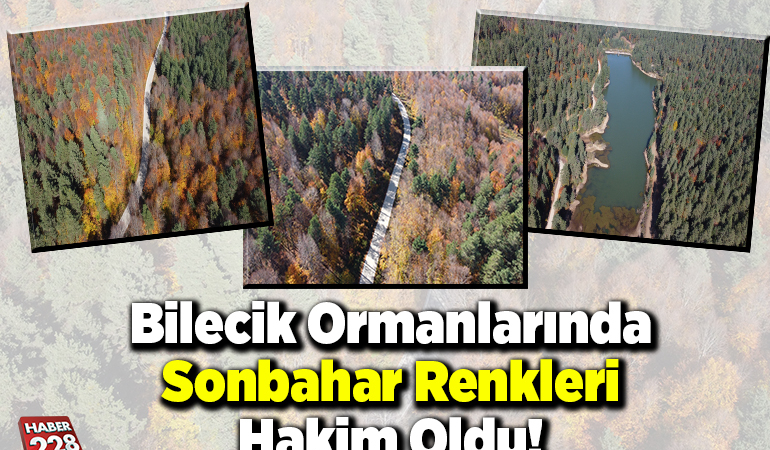 Bilecik ormanlarında sonbahar renkleri hakim oldu