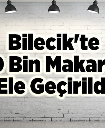 Bilecik'te 40 bin makaron ele geçirildi