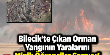 Bilecik'te Çıkan Orman Yangının Yaralarını Minik Öğrenciler Sarıyor!