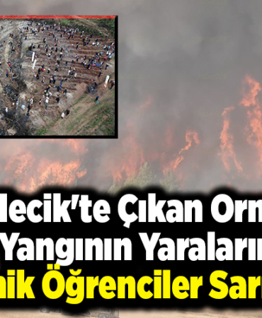Bilecik'te Çıkan Orman Yangının Yaralarını Minik Öğrenciler Sarıyor!