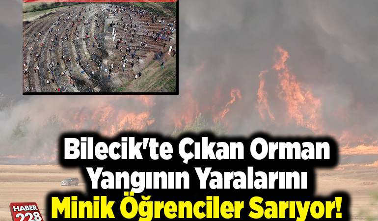 Bilecik’te Çıkan Orman Yangının Yaralarını Minik Öğrenciler Sarıyor!