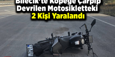 Bilecik'te köpeğe çarpıp devrilen motosikletteki 2 kişi yaralandı