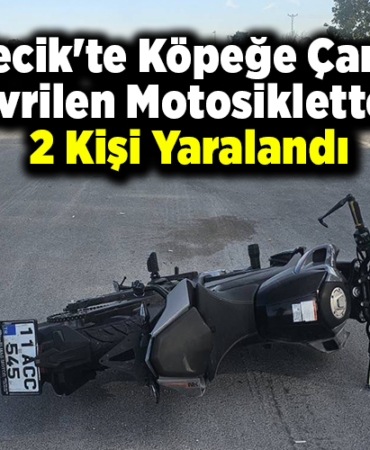 Bilecik'te köpeğe çarpıp devrilen motosikletteki 2 kişi yaralandı