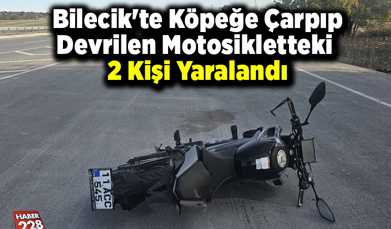 Bilecik’te köpeğe çarpıp devrilen motosikletteki 2 kişi yaralandı