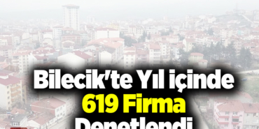 Bilecik'te yıl içinde 619 firma denetlendi