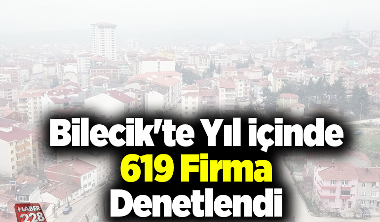 Bilecik’te yıl içinde 619 firma denetlendi