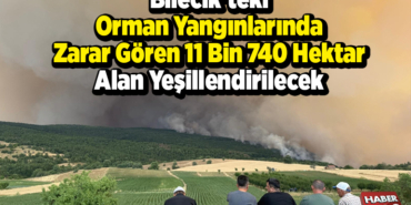 Bilecik'teki orman yangınlarında zarar gören 11 bin 740 hektar alan yeşillendirilecek
