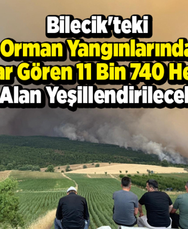 Bilecik'teki orman yangınlarında zarar gören 11 bin 740 hektar alan yeşillendirilecek