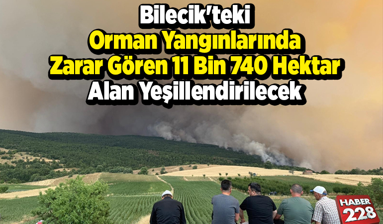 Bilecik’teki orman yangınlarında zarar gören 11 bin 740 hektar alan yeşillendirilecek