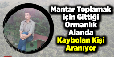 Mantar toplamak için gittiği ormanlık alanda kaybolan kişi aranıyor