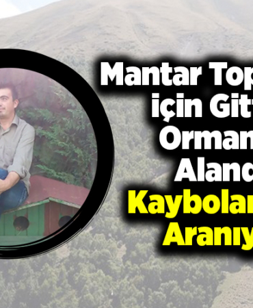 Mantar toplamak için gittiği ormanlık alanda kaybolan kişi aranıyor