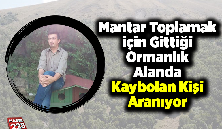 Mantar toplamak için gittiği ormanlık alanda kaybolan kişi aranıyor