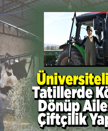 Üniversiteli Sıla, tatillerde köyüne dönüp ailesiyle çiftçilik yapıyor