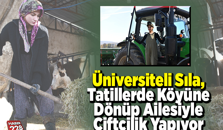 Üniversiteli Sıla, tatillerde köyüne dönüp ailesiyle çiftçilik yapıyor