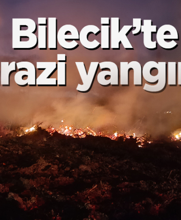 yangın
