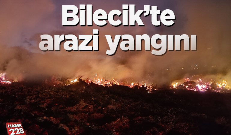 Bilecik’te arazi yangını