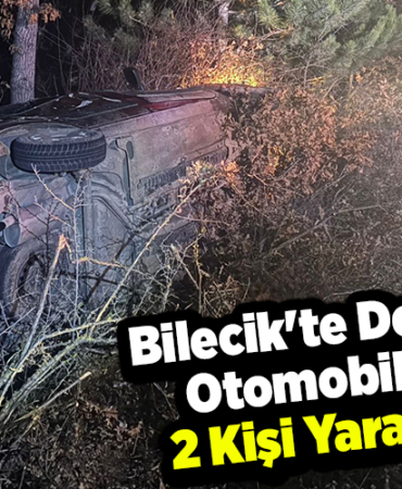 Bilecik'te devrilen otomobildeki 2 kişi yaralandı