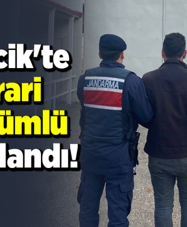 Bilecik'te firari hükümlü yakalandı