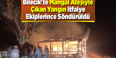 Bilecik'te mangal ateşiyle çıkan yangın itfaiye ekiplerince söndürüldü