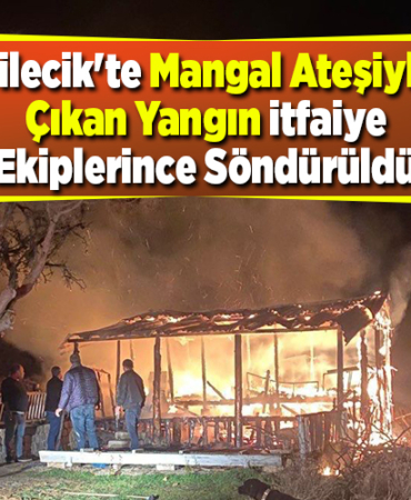 Bilecik'te mangal ateşiyle çıkan yangın itfaiye ekiplerince söndürüldü