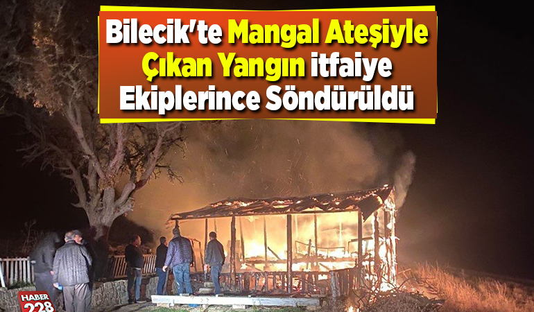 Bilecik’te mangal ateşiyle çıkan yangın itfaiye ekiplerince söndürüldü