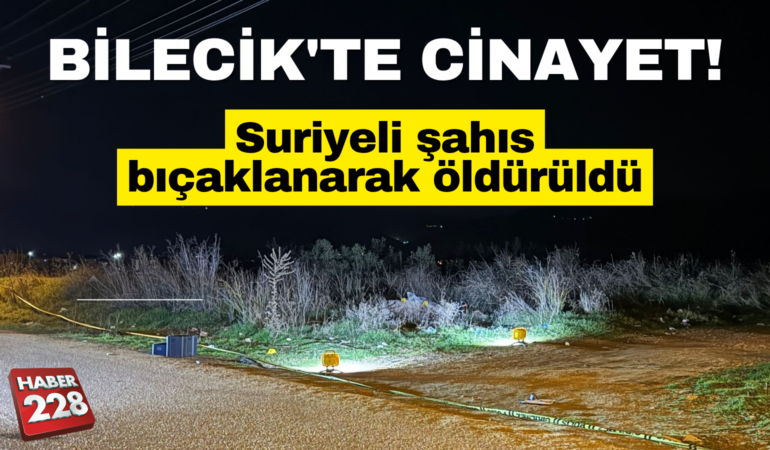 Bilecik’te yol kenarında erkek cesedi bulundu
