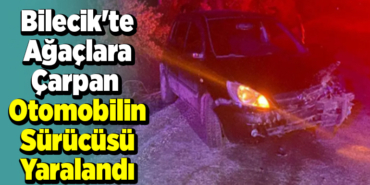 Bilecik'te ağaçlara çarpan otomobilin sürücüsü yaralandı