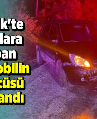 Bilecik'te ağaçlara çarpan otomobilin sürücüsü yaralandı