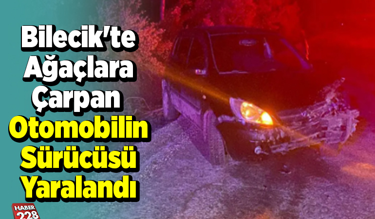 Bilecik’te ağaçlara çarpan otomobilin sürücüsü yaralandı