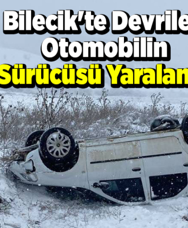 Bilecik'te devrilen otomobilin sürücüsü yaralandı