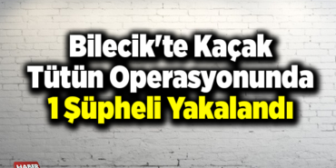 Bilecik'te kaçak tütün operasyonunda 1 şüpheli yakalandı