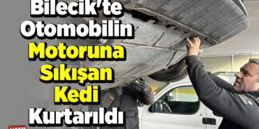 Bilecik'te otomobilin motoruna sıkışan kedi kurtarıldı