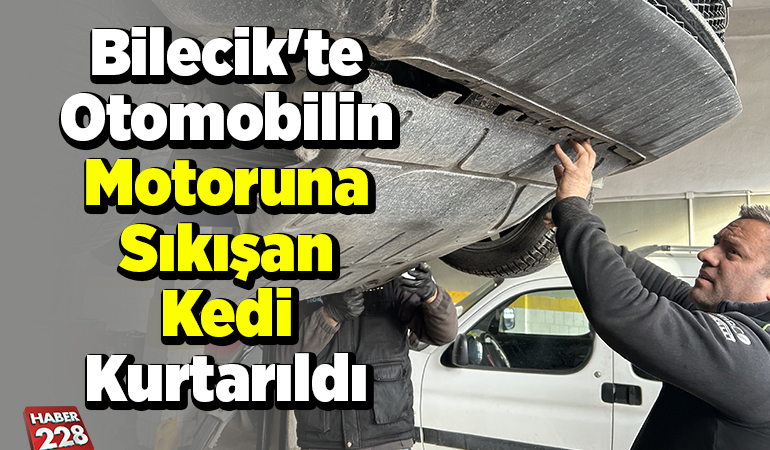 Bilecik’te otomobilin motoruna sıkışan kedi kurtarıldı