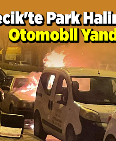 Bilecik'te park halindeki otomobil yandı