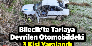Bilecik'te tarlaya devrilen otomobildeki 3 kişi yaralandı