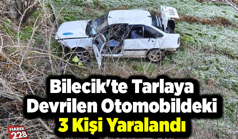 Bilecik’te tarlaya devrilen otomobildeki 3 kişi yaralandı