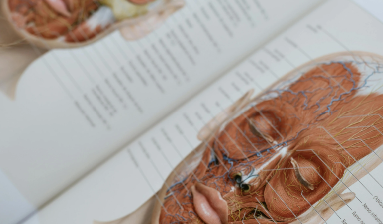 Anatomi Ders Notları ile Bilgiyi Sistemli Hale Getirmek