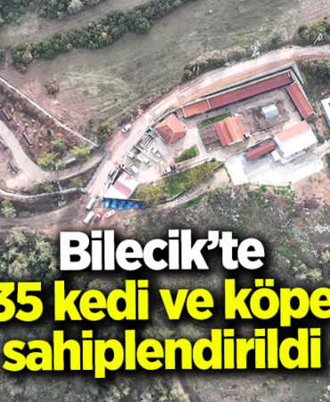 kedikopek