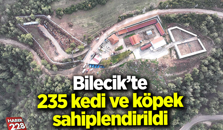 Bilecik’te 235 kedi ve köpek sahiplendirildi