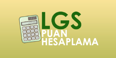 vepuan.com (1)