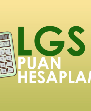 vepuan.com (1)
