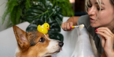 washing-pet-dog-home
