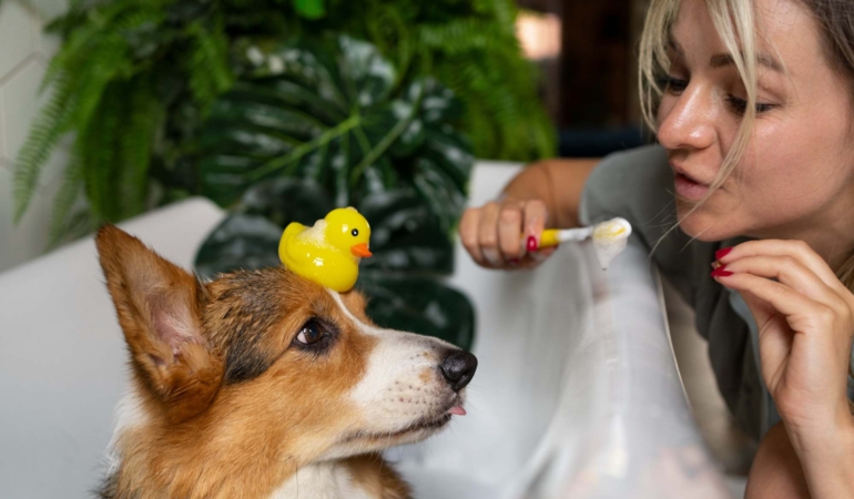 Çekmeköy’de Can Dostlarınız İçin Güven Veren Sağlık Adresi