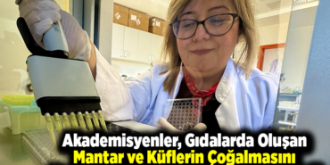 Akademisyenler, gıdalarda oluşan mantar ve küflerin çoğalmasını engelleyen yeni nesil bileşik geliştirdi