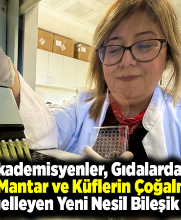 Akademisyenler, gıdalarda oluşan mantar ve küflerin çoğalmasını engelleyen yeni nesil bileşik geliştirdi