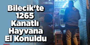 Bilecik'te 1265 kanatlı hayvana el konuldu