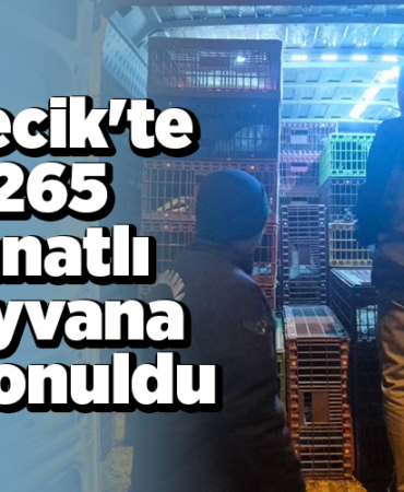 Bilecik'te 1265 kanatlı hayvana el konuldu