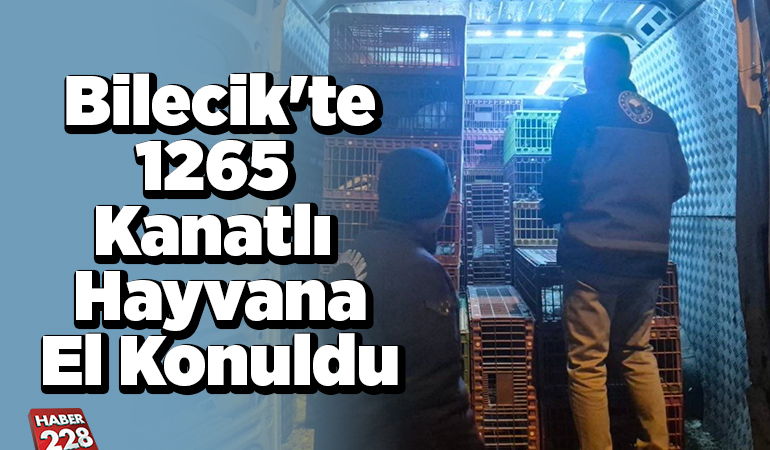 Bilecik’te 1265 kanatlı hayvana el konuldu
