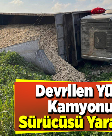 Bilecik'te devrilen yüklü kamyonun sürücüsü yaralandı